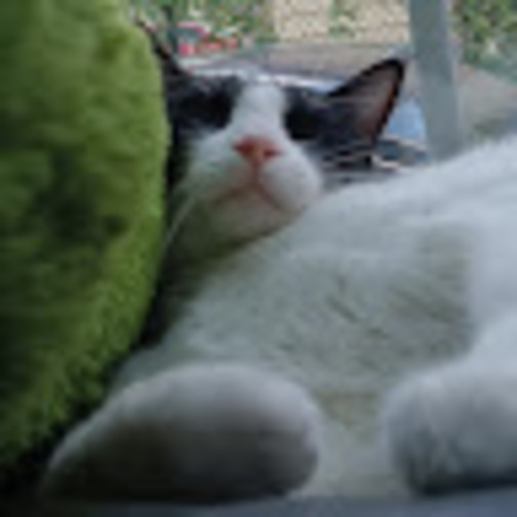 pipiuncaci